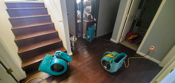 Best Residential water damage restoration  in Haltom City, TX