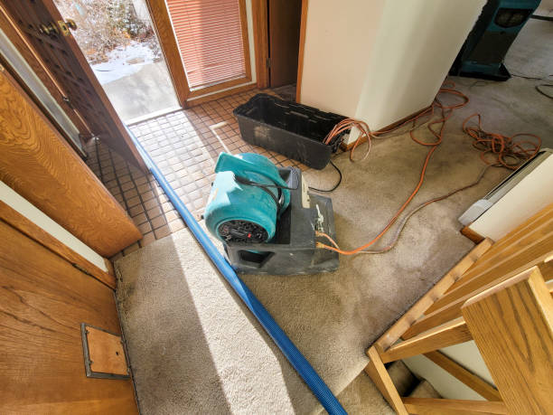 Best 24-hour water damage restoration  in Haltom City, TX