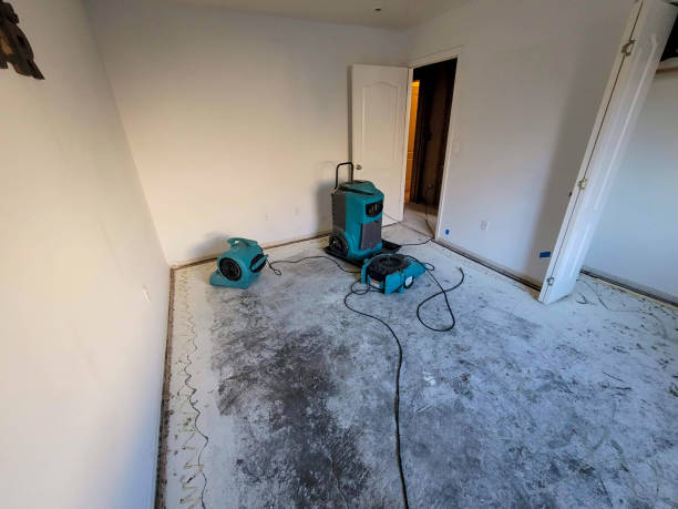 Best Water damage restoration near me  in Haltom City, TX
