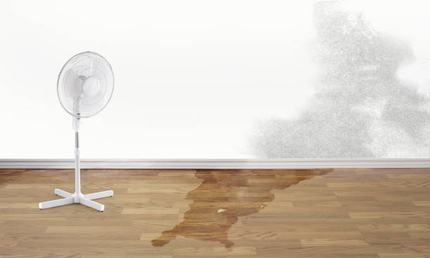 Best Basement water damage restoration  in Haltom City, TX