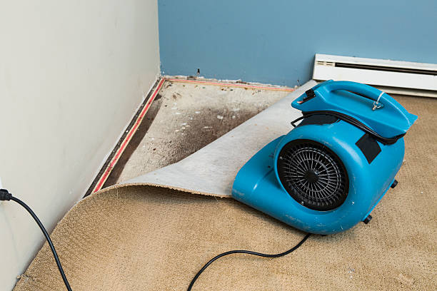 Best 24/7 water damage repair  in Haltom City, TX